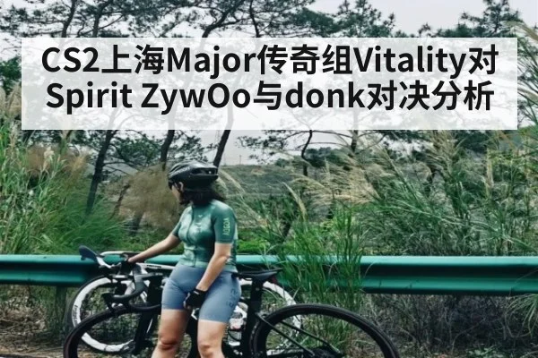 CS2上海Major传奇组Vitality对Spirit ZywOo与donk对决分析